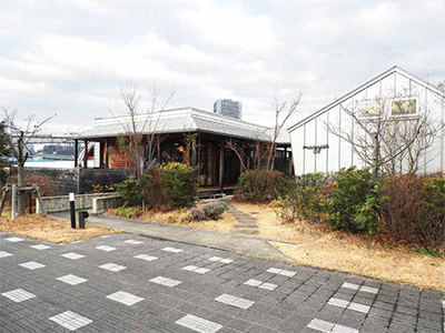 英国マギーズセンターの基準に沿った<br>自然が感じられる環境と、<br>木を多用した建築のマギーズ東京<br>（東京都江東区）